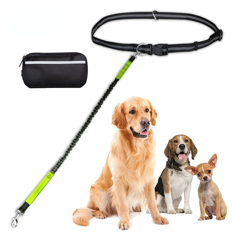 Hands-Free Dog Leash with Zipper Pouch and Dual Padded Handles