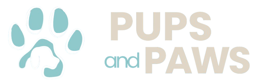 Kitchen & Essentials