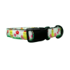 Pet Dog & Cat Nylon Collar or Leash, "Spring Chicken"