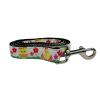 Pet Dog & Cat Nylon Collar or Leash, "Spring Chicken"