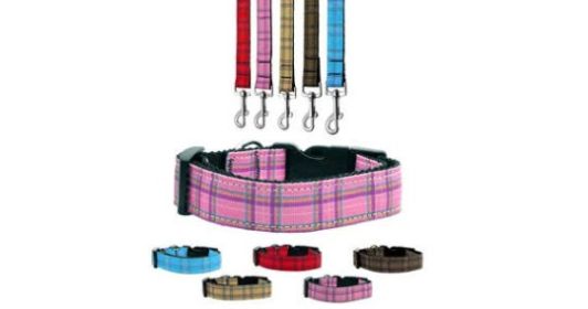 Pet Dog & Cat Nylon Collar or Leash, "Plaids" (Color: Blue Plaid, size: Cat Safety Collar)