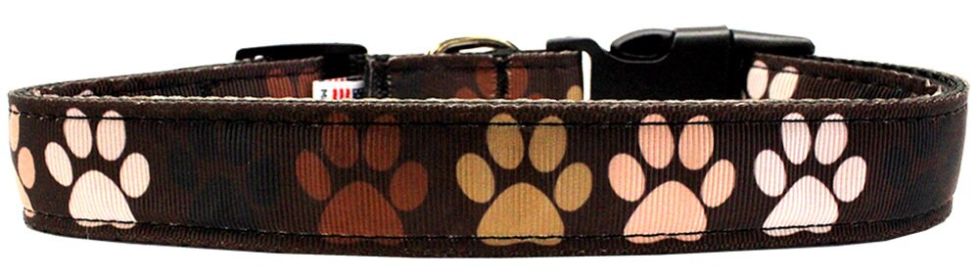 Pet Dog & Cat Nylon Collar or Leash, "Solidarity Paws" (size: SM Wide Collar)