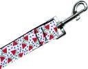 Pet Dog & Cat Nylon Collar or Leash, "Watermelon"