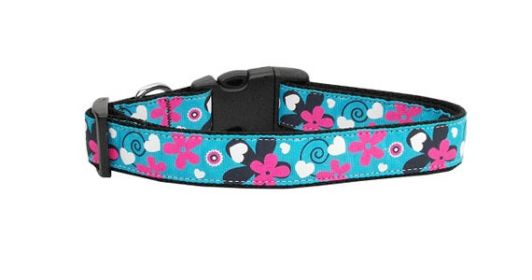 Pet Dog & Cat Nylon Collar or Leash, "Aqua Love" (size: Cat Collar)