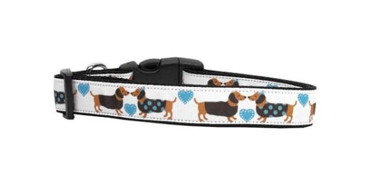 Pet Dog & Cat Nylon Collar or Leash, "Doxie Love" (size: Cat Collar)