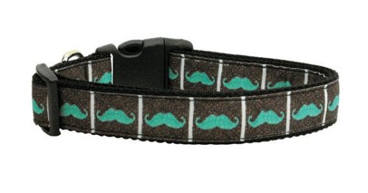 Pet Dog & Cat Nylon Collar or Leash, "Aqua Moustaches" (size: Cat Collar)