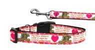 Pet Dog & Cat Nylon Collar or Leash, "Combat Boots"