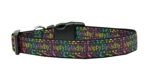 Pet Dog & Cat Nylon Collar or Leash, "Happy Birthday" (size: Cat Collar)
