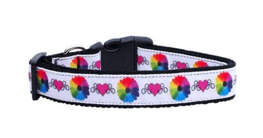 Pet Dog & Cat Nylon Collar or Leash, "Technicolor Love" (size: Cat Collar)