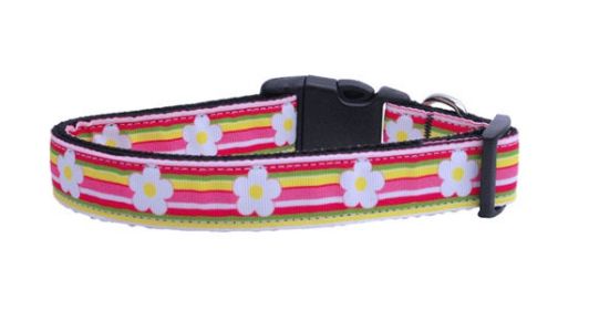 Pet Dog & Cat Nylon Collar or Leash, "Striped Daisy" (size: Cat Safety Collar)