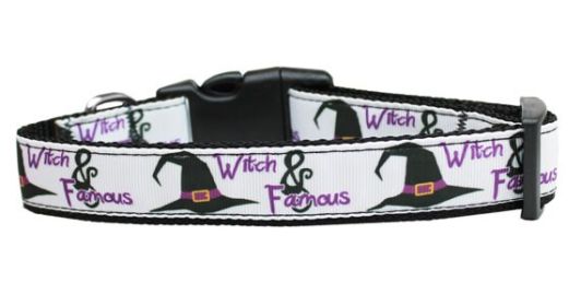 Halloween Pet Dog & Cat Nylon Collar or Leash, "Witch and Famous" (size: Cat Collar)
