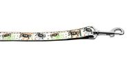 Halloween Pet Dog & Cat Nylon Collar or Leash "Itsy Bitsy Spiders"