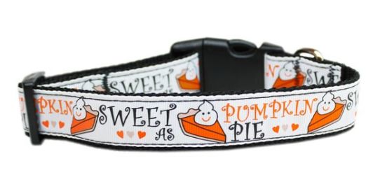 Pet Dog & Cat Nylon Collar or Leash, "Pumpkin Pie" (size: Cat Collar)