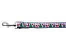 Christmas Pet Dog & Cat Nylon Collar or Leash, "Aqua Santa"